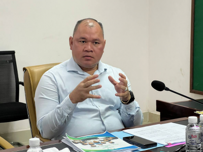 The Meeting to review progress in preparations for International Children