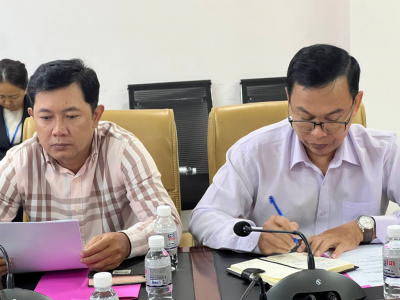 The Meeting to review progress in preparations for International Children